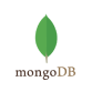 Mongo-db ICON